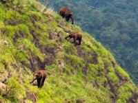 video dan cuu leo vach nui thang dung thoan thoat nhu nguoi nhen gay sot mang xa hoi