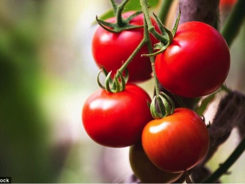 Bí mật của 5 thực phẩm được ưa thích hàng đầu