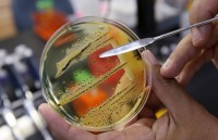 phong chong khang thuoc cham dut lam dung thuoc khang sinh