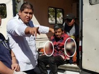 nhu cau cao ve sau rieng de doa loai ho hiem o malaysia