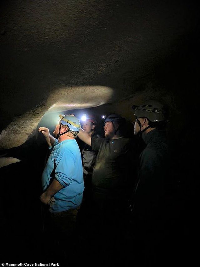 phat hien dau ca map 330 trieu nam trong hang dong