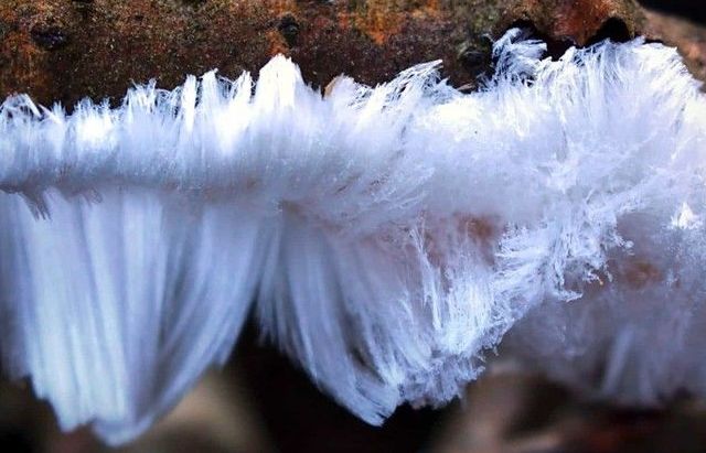 Những bức ảnh độc đáo tiết lộ sự thật ít biết về vũ trụ và cuộc sống