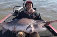 Câu được cá tầm thìa nặng 71kg phá kỷ lục thế giới