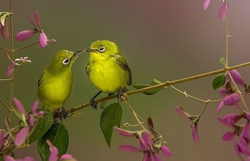 Tận hưởng tình yêu qua những bức ảnh tuyệt đẹp