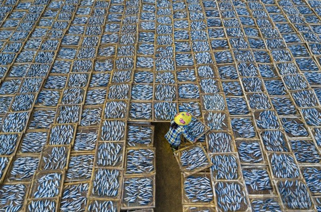 Việt Nam trong những khoảnh khắc đẹp nhất tại giải ảnh quốc tế