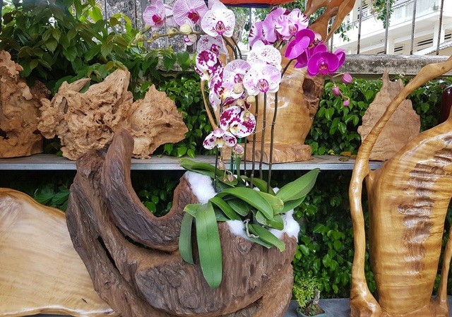 Phố biển du lịch Nha Trang ngập tràn sắc Xuân đón Tết Nguyên đán Tân Sửu