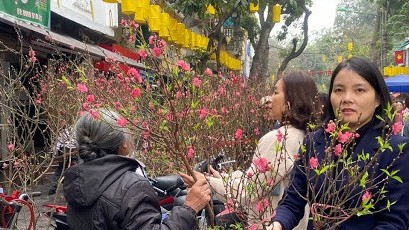 Dự báo thời tiết dịp Tết Nguyên đán Tân Sửu (3-16/2): Ngày 29 đến mùng 1 Tết, Bắc Bộ mưa nhỏ, sương mù; Nam Bộ đêm mưa rào cục bộ, ngày nắng