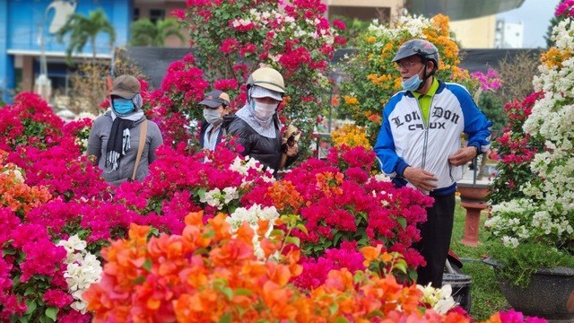 Dự báo thời tiết dịp Tết Nguyên đán (3-16/2): Ngày Tết ông Táo cả nước có nắng; Bắc Bộ sương mù; Trung Bộ, Nam Bộ mưa rào cục bộ, ngày nắng