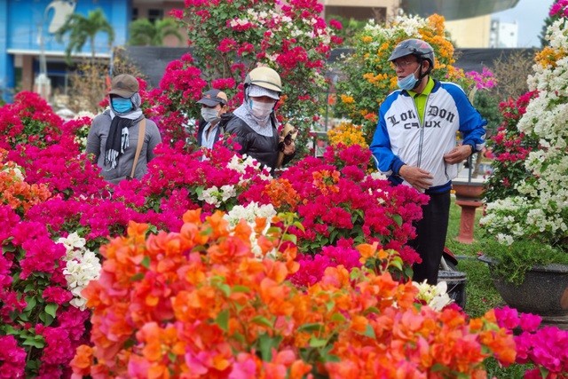 Dự báo thời tiết dịp Tết Nguyên đán (3-16/2): Tết ông Công ông Táo cả nước có nắng; Bắc Bộ sương mù; Trung Bộ, Nam Bộ mưa rào cục bộ, ngày nắng