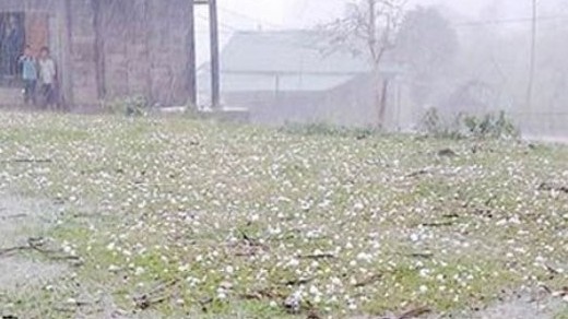 Dự báo thời tiết ngày và đêm nay (8/2): Bắc Bộ đêm và sáng trời rét và có mưa to, đề phòng mưa đá ở Tây Bắc; Nam Bộ ngày nắng, đêm mưa dông