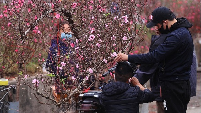 Tết Tân Sửu: Thời tiết đêm giao thừa và 3 ngày Tết 'chiều lòng người'