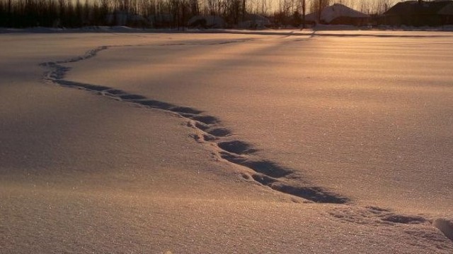 Cố gắng chạy chân trần trên tuyết mong lập kỷ lục Guinness thế giới