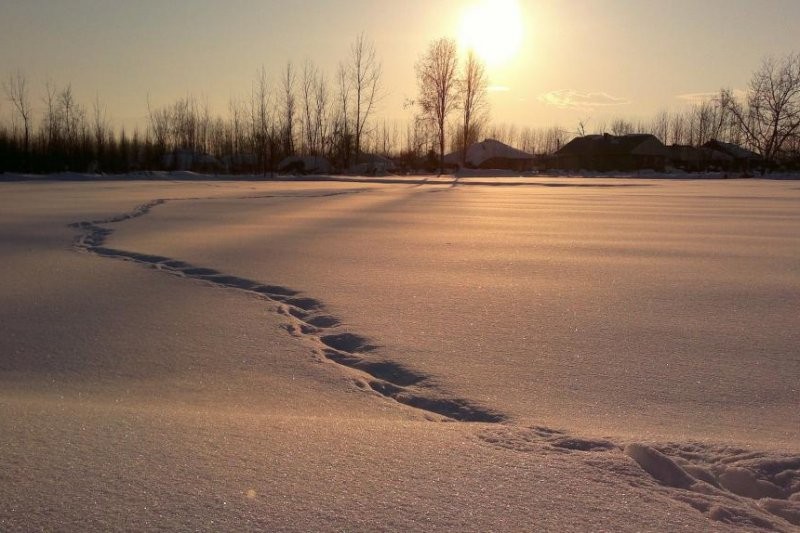 Hy vọng lập kỷ lục Guinness thế giới, cố gắng chạy chân trần trên tuyết