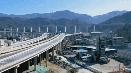 Trung Quốc: Kỳ lạ đường cao tốc tách làm đôi, nhường chỗ cho hai cây cổ thụ