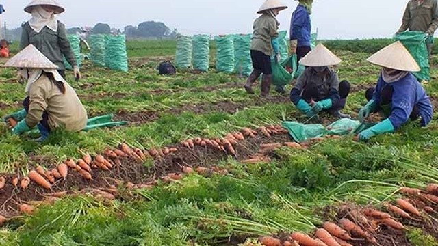 Hải Dương đề nghị các tỉnh giáp ranh tạo điều kiện thông thương hàng hoá