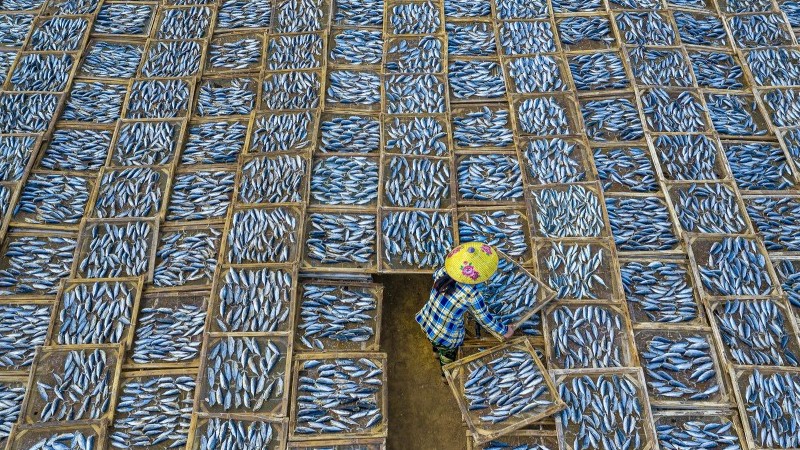 Nhiếp ảnh gia Việt Nam đoạt giải vàng cuộc thi ảnh quốc tế TIFA