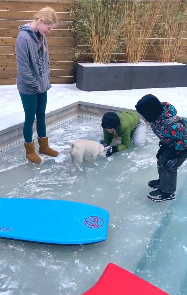 Mỹ: Những khoảnh khắc giá rét kỷ lục khiến vạn vật đóng băng như hóa đá Mỹ: Những khoảnh khắc giá rét kỷ lục khiến vạn vật đóng băng như hóa đá