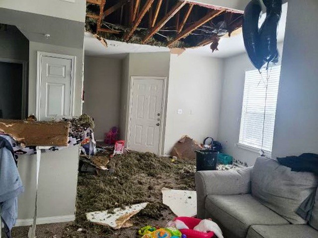 Mỹ: Những khoảnh khắc giá rét kỷ lục khiến vạn vật đóng băng như hóa đá Mỹ: Những khoảnh khắc giá rét kỷ lục khiến vạn vật đóng băng như hóa đá