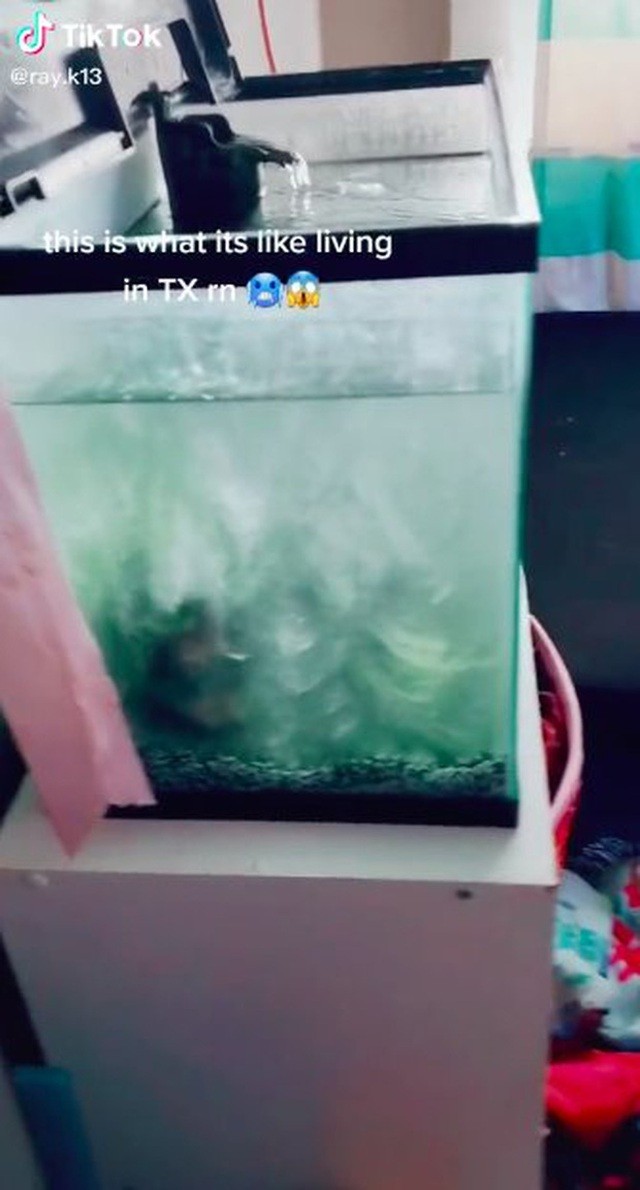 Mỹ: Những khoảnh khắc giá rét kỷ lục khiến vạn vật đóng băng như hóa đá Mỹ: Những khoảnh khắc giá rét kỷ lục khiến vạn vật đóng băng như hóa đá