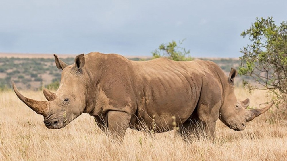 Những khoảnh khắc trùng hợp kỳ lạ đến khó tin trong cuộc sống