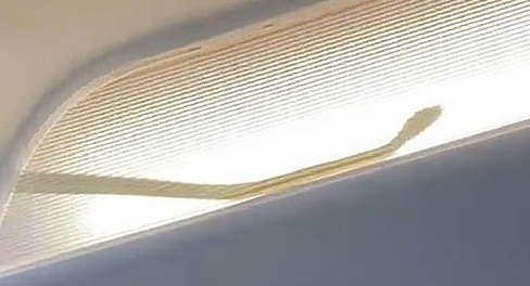 Malaysia: Chưa rõ nguyên nhân con rắn lại xuất hiện trên máy bay đã cất cánh