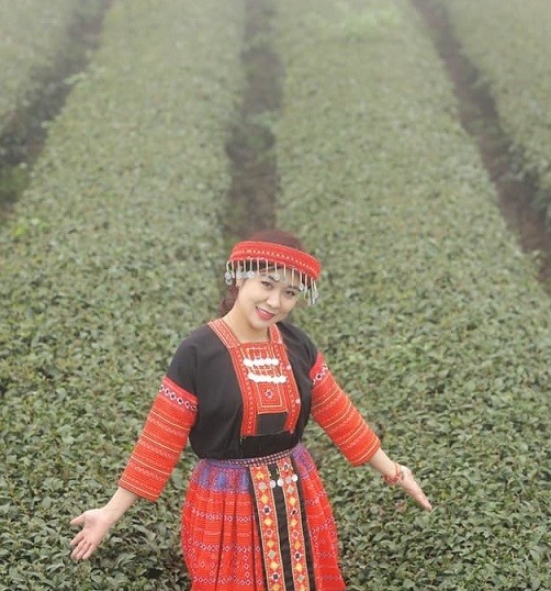 Gia đình NSND Tự Long rực rỡ trên đồi chè Mộc Châu