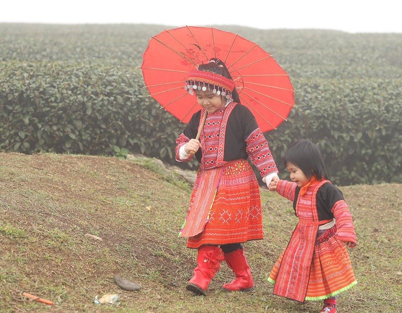 Gia đình NSND Tự Long rực rỡ trên đồi chè Mộc Châu