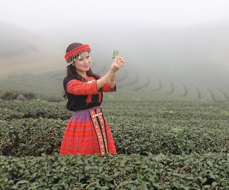 Gia đình NSND Tự Long rực rỡ trên đồi chè Mộc Châu