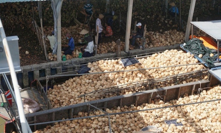 Bến Tre: Chợ nổi trên sông 'độc nhất vô nhị' chỉ bán các sản phẩm từ cây dừa