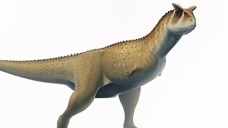 Argentina: Phát hiện mới về loài khủng long ăn thịt khác thường