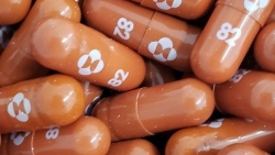 Thuốc điều trị Covid-19 dạng viên của Ấn Độ giúp giảm nguy cơ nhập viện