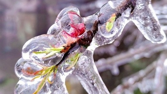 Dự báo thời tiết đêm nay và ngày mai (22-23/2): Bắc Bộ, Bắc Trung Bộ rét đậm, có nơi rét hại; phía Nam ngày nắng; Hà Nội nhiệt độ từ 8-18 độ C