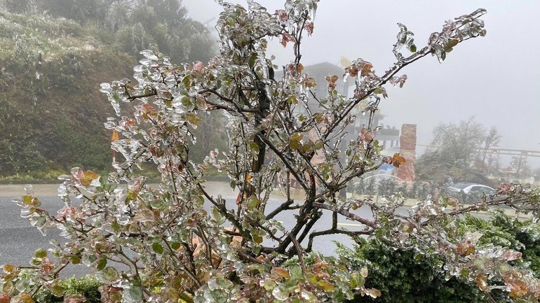 Dự báo thời tiết đêm nay và ngày mai (23-24/2): Bắc Bộ, Bắc Trung Bộ rét đậm; vùng núi phía Bắc rét hại, vùng núi cao dưới 0 độ C; Nam Bộ nắng nóng