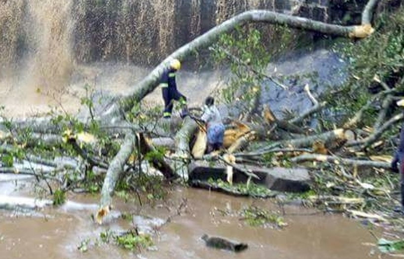 Gió bão lật đổ cây khiến 20 sinh viên thiệt mạng tại Ghana