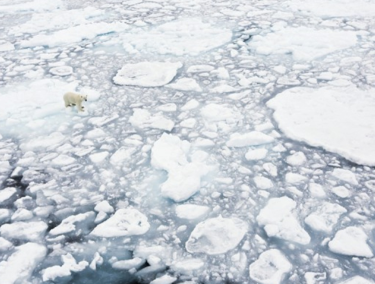 IEA và IREA hối thúc thế giới dừng sử dụng nhiên liệu hóa thạch