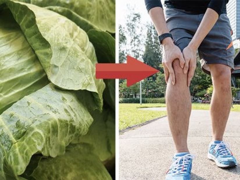 Đau do gút đến mấy, có lá bắp cải là đỡ liền