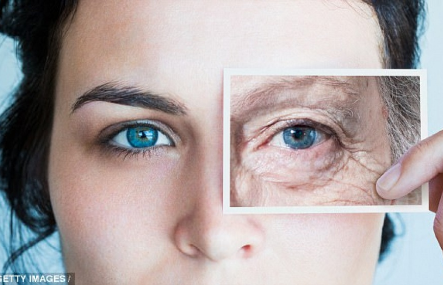 Đột phá: Phát hiện hợp chất “cải lão hoàn đồng”?