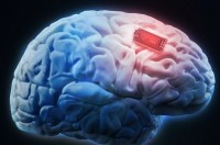 bi an nao nguoi co dai ton tai nguyen ven trong 2600 nam khong phan huy