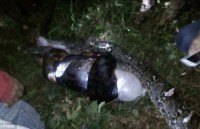 thai lan tran khung dai gan 4m nap trong may giat