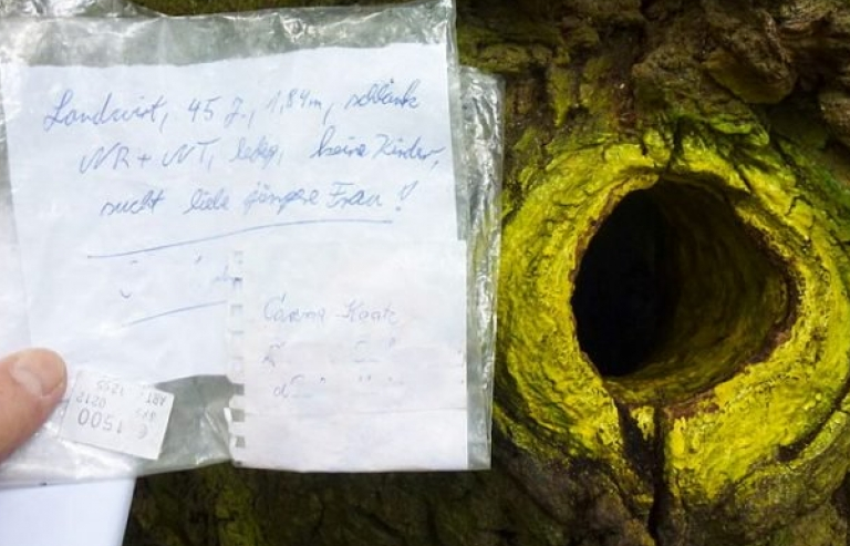 Kỳ thú câu chuyện "cây mai mối" ở Đức tồn tại hơn thế kỷ