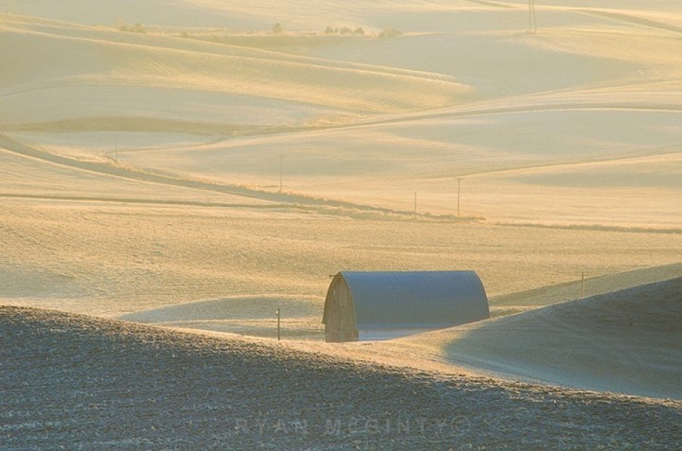 vung dat co nhung tham co da sac mau dep hon tranh son mai