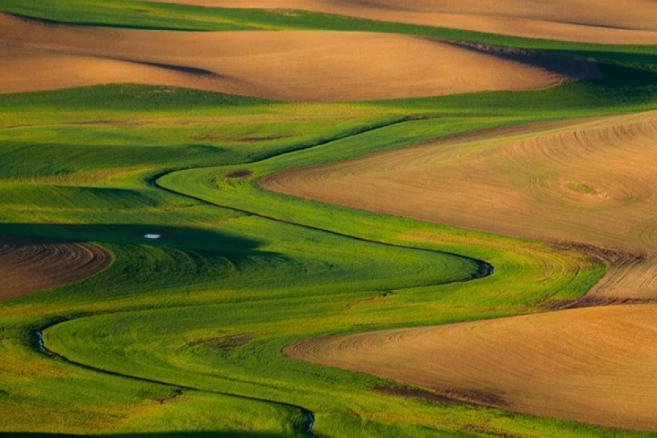 vung dat co nhung tham co da sac mau dep hon tranh son mai