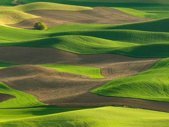 Vùng đất có những thảm cỏ đa sắc màu đẹp hơn tranh sơn mài