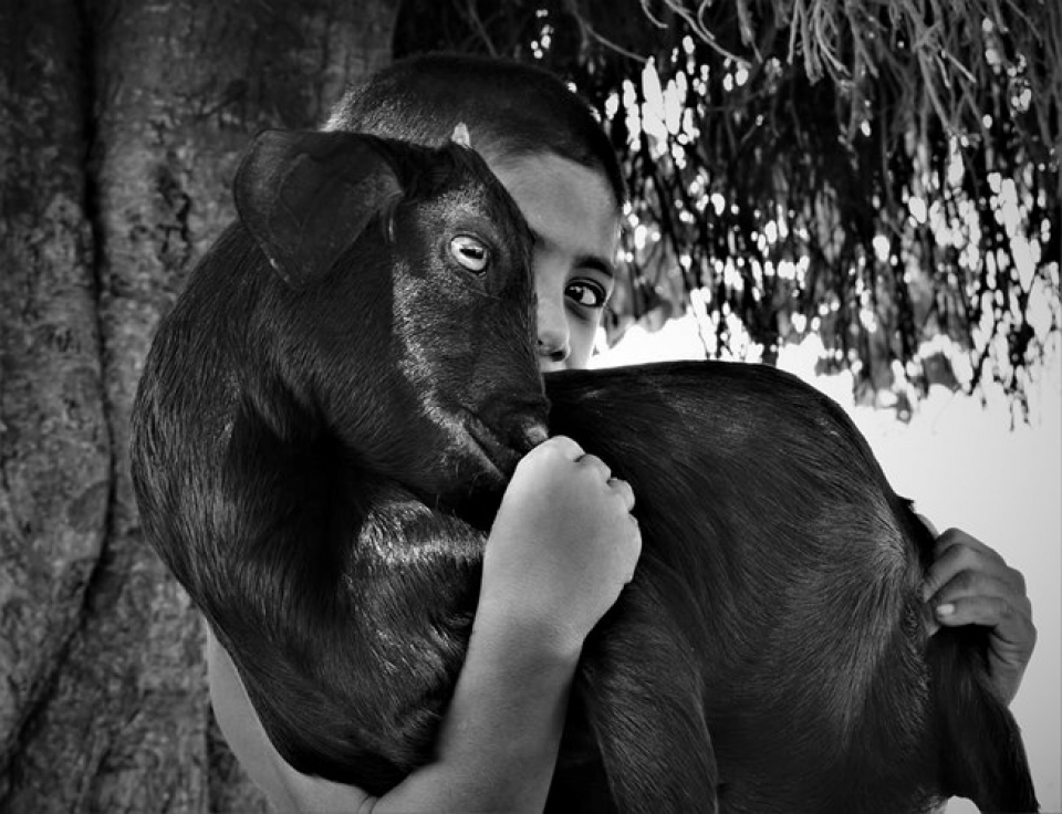 anh ve viet nam doat giai sony world photography 2018