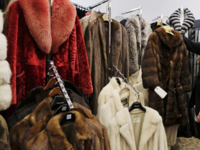 Mỹ: Một số thành phố lớn cấm bán lông thú để bảo vệ động vật