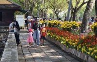 hoa ban trang sac tay bac giua thanh pho cao nguyen