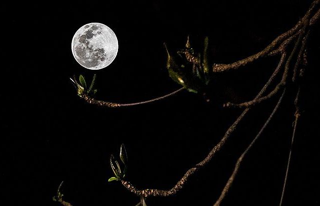 Những hình ảnh đẹp về siêu trăng trên bầu trời Hà Nội