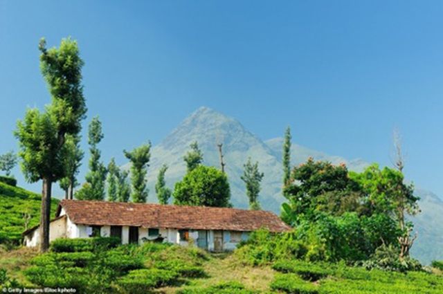 Những chuyến du lịch chậm hấp dẫn, ngắm thế giới 'lướt qua bước chân mình' nhung chuyen du lich cham hap dan ngam the gioi luot qua buoc chan minh