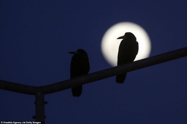 ky thu hien tuong sieu trang tren khap cac diem den noi tieng the gioi