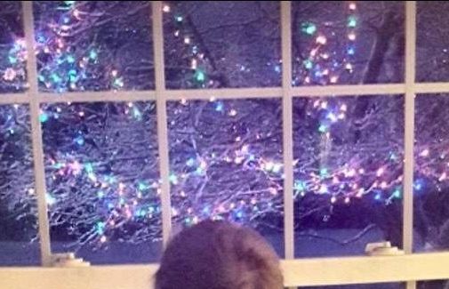 Những hành động lan toả yêu thương thời đại dịch Covid-19